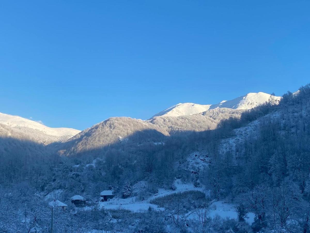 Aphrodite Hills Apartments-Stara Planina Crni Vrh Екстер'єр фото