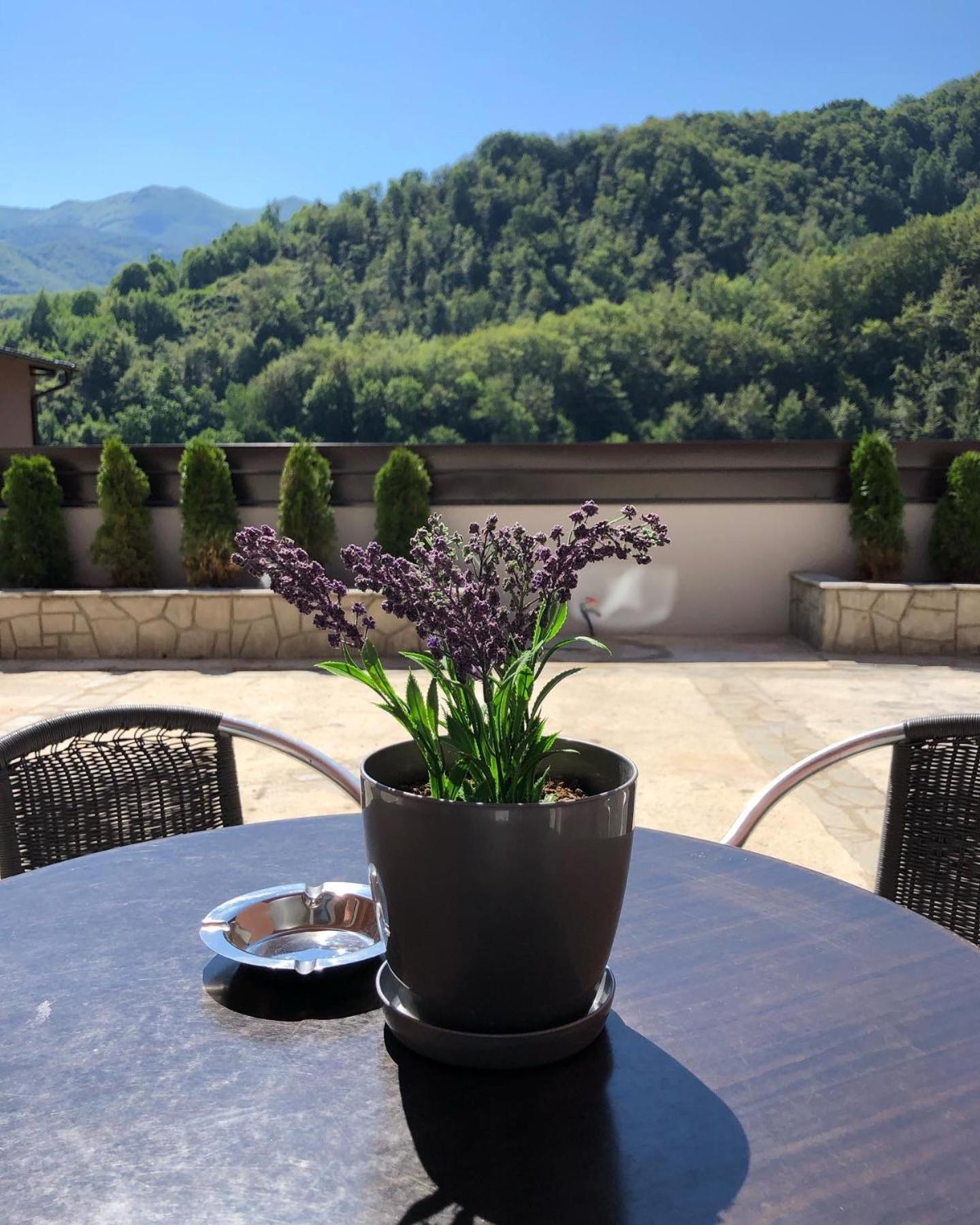 Aphrodite Hills Apartments-Stara Planina Crni Vrh Екстер'єр фото
